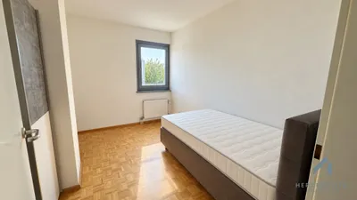 6-Zimmer-Haus kaufen in Wien – 178,57 m², € 890.000 – Bild 9 von 16