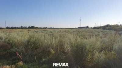 Immobilie kaufen in Neusiedl am See – 8 693 m², € 173.860 – Bild 4 von 4