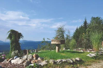 Grundstück kaufen in Weiz – 2 644 m², € 84.000 – Bild 1 von 7