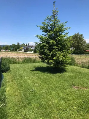 2-Zimmer-Wohnung mieten in Klagenfurt – 38 m², € 624 – Bild 2 von 10