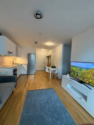 Smarte 1,5 -Zimmer Wohnung , teilmöbliert im modernen Neubauprojekt