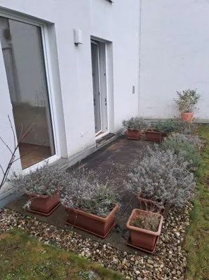 3-Zimmer-Wohnung mieten in Baden – 92,13 m², € 1.314 – Bild 9 von 12