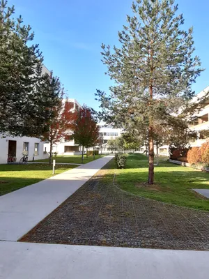 2-Zimmer-Wohnung kaufen in Wels – 55 m², € 250.000 – Bild 13 von 13
