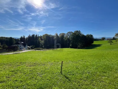 Grundstück kaufen in Steyr – 1 096 m² – Bild 3 von 6