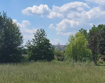 Grundstück kaufen in Südoststeiermark – 900 m², € 48.000 – Bild 4 von 5
