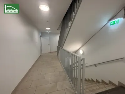 2-Zimmer-Wohnung mieten in Wien – 55,28 m², € 899 – Bild 13 von 23