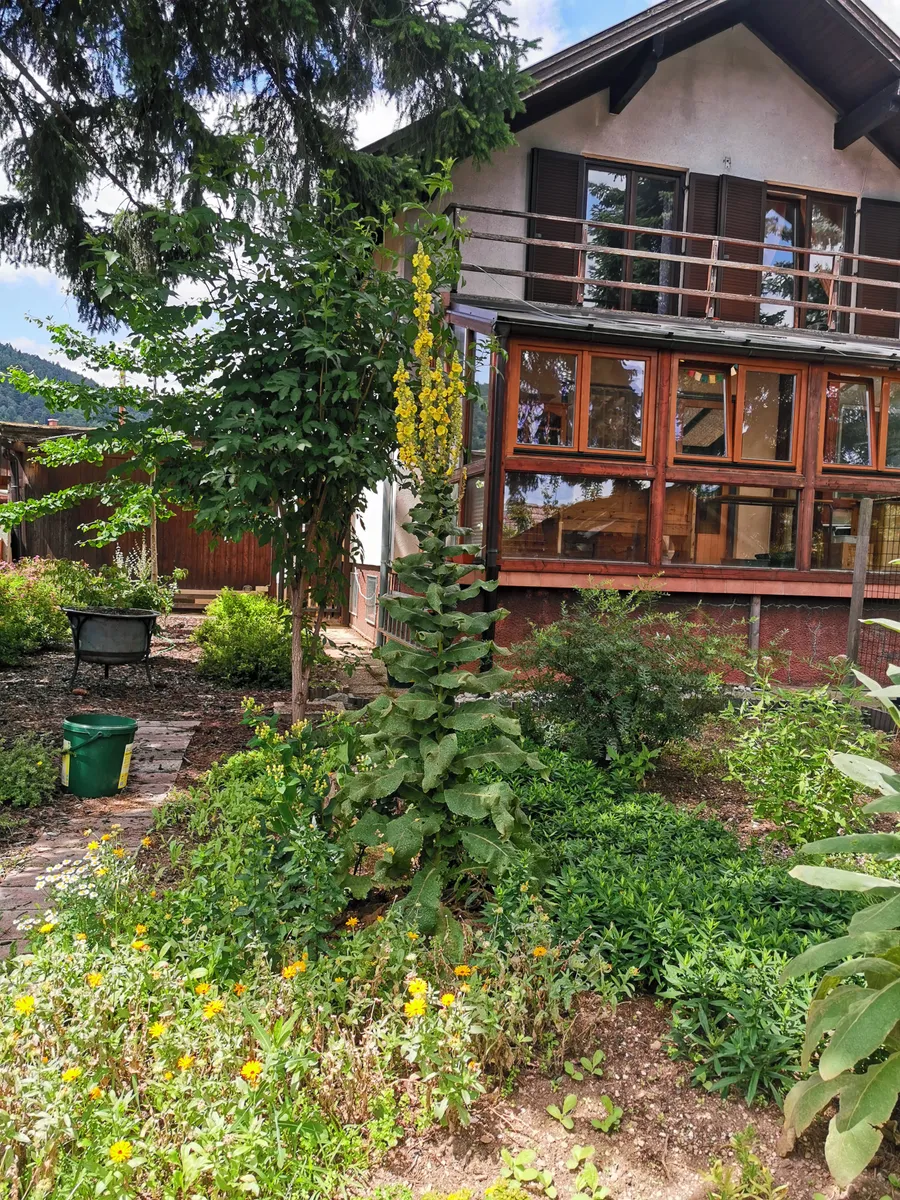 Wohnung – Ternitz - Ansicht 2
