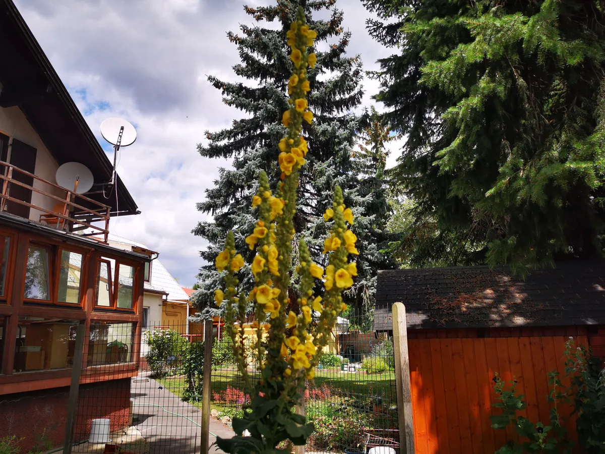 Wohnung – Ternitz - Ansicht 3