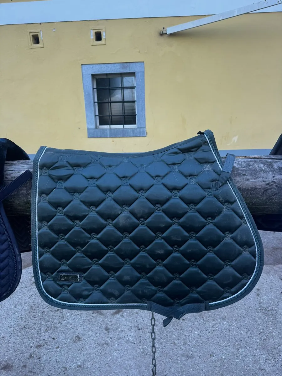 Cavallo Schabracke