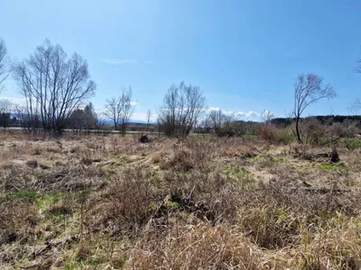 Immobilie kaufen in Vöcklabruck – 8 700 m², € 1.305.000 – Bild 2 von 10