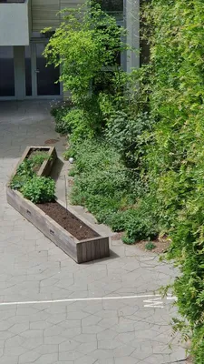 3-Zimmer-Wohnung mieten in Wien – 75 m², € 800 – Bild 13 von 15