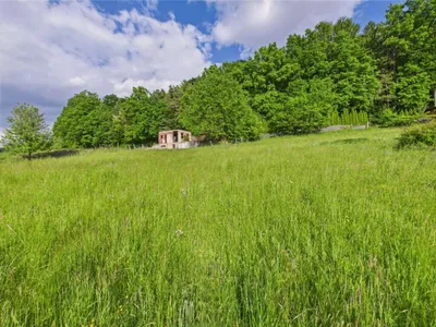 Grundstück kaufen in Hartberg-Fürstenfeld – 3 325 m², € 139.000 – Bild 8 von 8
