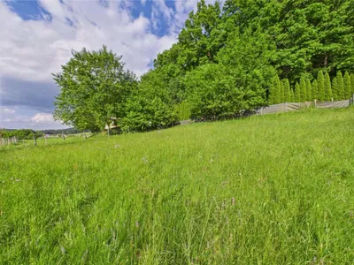 Grundstück kaufen in Hartberg-Fürstenfeld – 3 325 m², € 139.000 – Bild 4 von 8