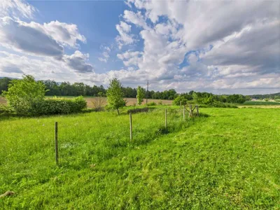 Grundstück kaufen in Hartberg-Fürstenfeld – 3 325 m², € 139.000 – Bild 6 von 8