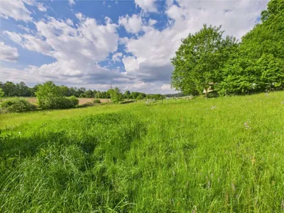 Grundstück kaufen in Hartberg-Fürstenfeld – 3 325 m², € 139.000 – Bild 5 von 8