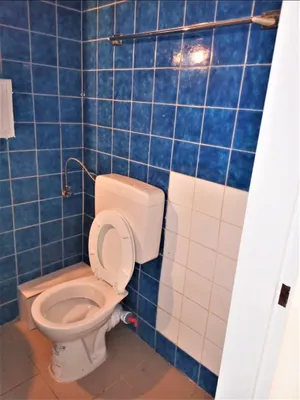 1-Zimmer-Wohnung mieten in Linz – 30 m², € 600 – Bild 11 von 12