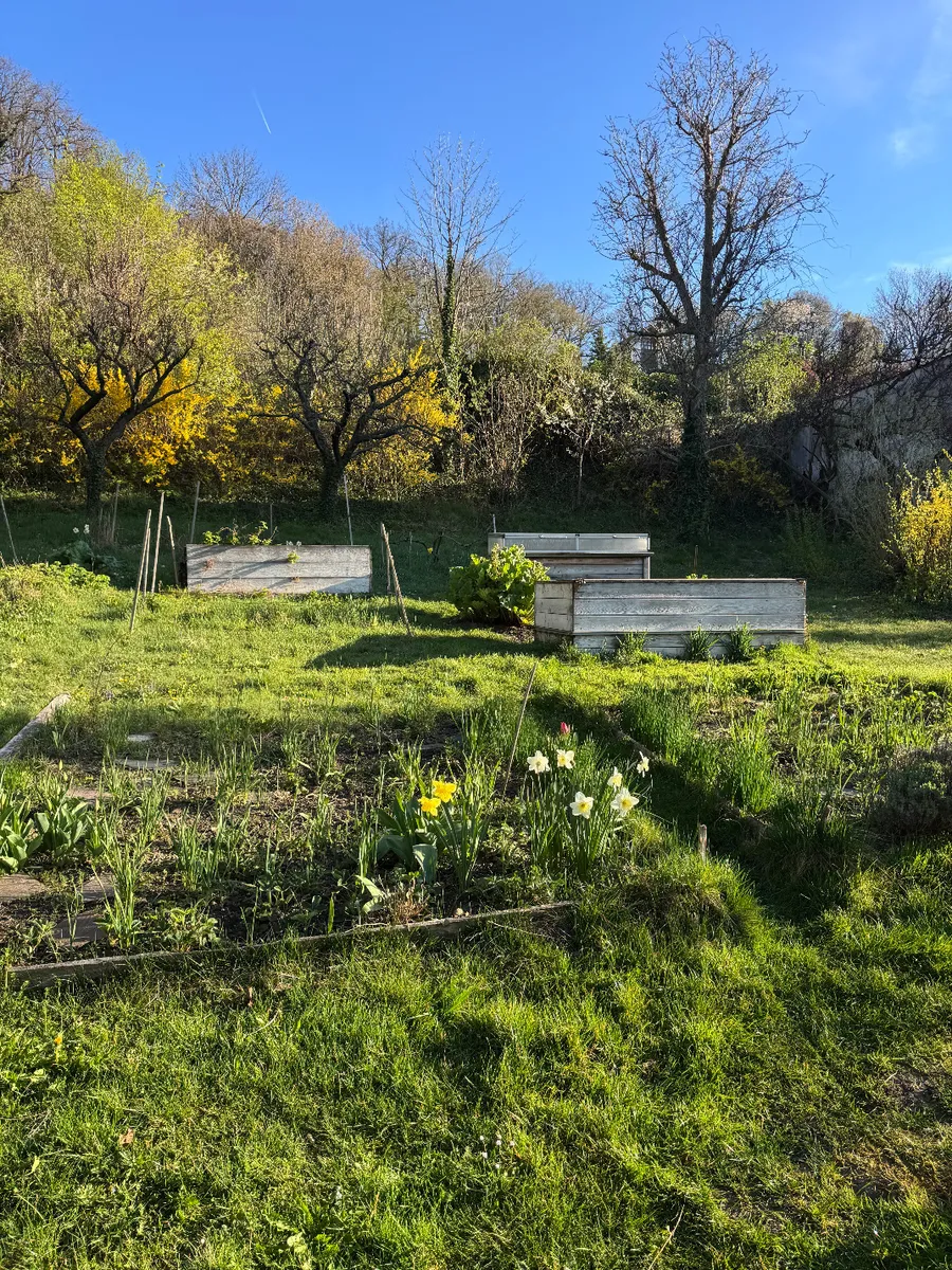 Traumgrund in Klosterneuburg mit Fernsicht und Obstbäumen - Ansicht 2