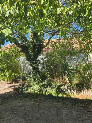 5-Zimmer-Immobilie kaufen in Hollabrunn – 200 m², € 125.000 – Bild 8 von 28
