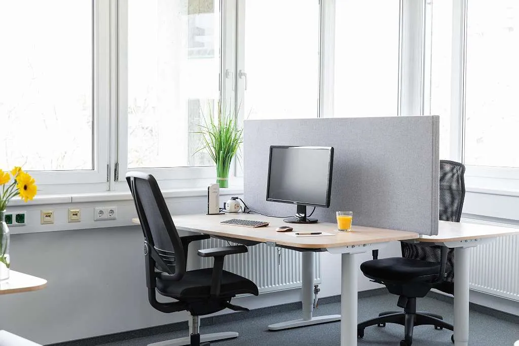 Büroflächen und Co-Working in 1230 Wien - zu mieten - Ansicht 2