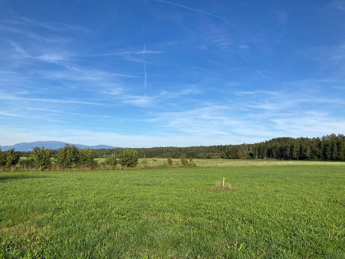 Traumlage: Sonniges Baugrundstück in Ruhe- und Grünlage in Gablern - Nähe Klopeinersee - Ansicht 2