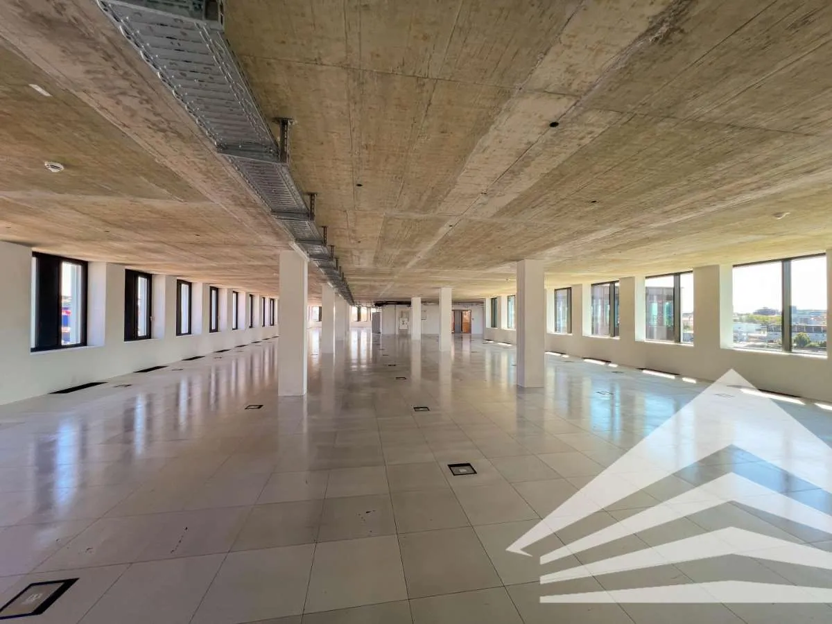 DAS HAFENPORTAL - Neubauprojekt 2.000 M² Bürofläche - Ansicht 3
