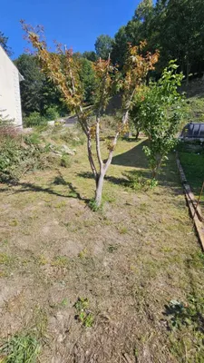 Grundstück kaufen in Tulln – 887 m², € 298.000 – Bild 8 von 24