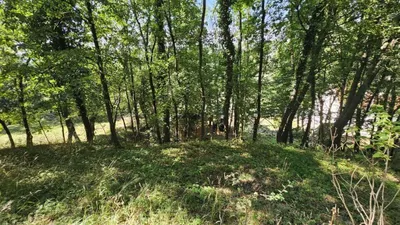Grundstück kaufen in Tulln – 887 m², € 298.000 – Bild 15 von 24
