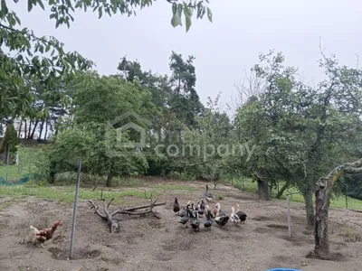 4-Zimmer-Haus kaufen in Oberpullendorf – 140 m², € 210.000 – Bild 3 von 11