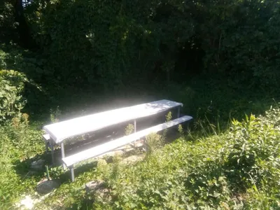 Immobilie kaufen in Korneuburg – € 49.000 – Bild 6 von 9