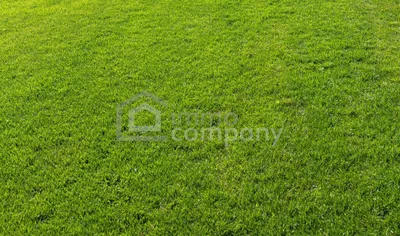 Grundstück kaufen in Gänserndorf – 564 m², € 250.000 – Bild 1 von 2