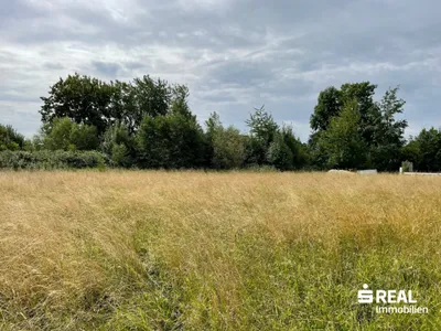 Grundstück kaufen in Ried im Innkreis – 1 014 m², € 150.000 – Bild 6 von 6