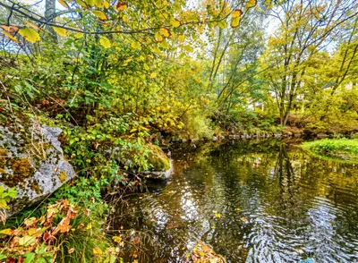 Haus mieten in Urfahr-Umgebung – 50 m², € 1.350 – Bild 11 von 21