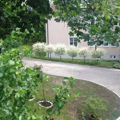 1-Zimmer-Wohnung mieten in Melk – 60 m², € 778 – Bild 25 von 25