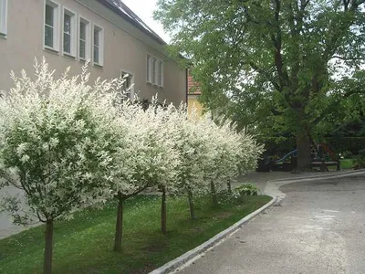 1-Zimmer-Wohnung mieten in Melk – 60 m², € 778 – Bild 22 von 25