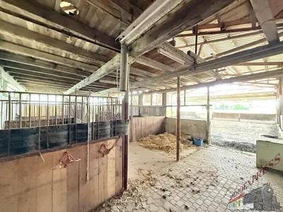 Grundstück kaufen in Baden – 15 966 m², € 2.180.000 – Bild 11 von 34