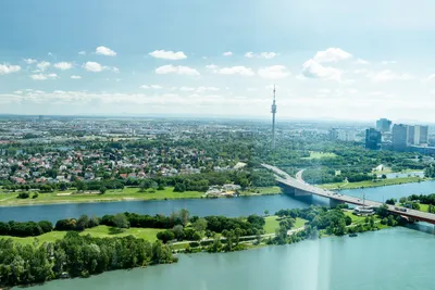 Gewerbeimmobilie mieten in Wien – 162 m², € 24 – Bild 14 von 29
