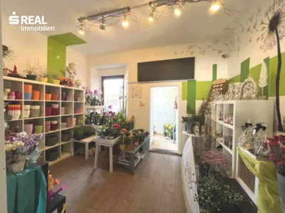 3-Zimmer-Gewerbeimmobilie kaufen in Lilienfeld – 59 m², € 49.000 – Bild 2 von 6
