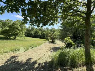 7-Zimmer-Haus kaufen in Güssing – 244 m², € 210.000 – Bild 28 von 38