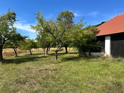 7-Zimmer-Haus mieten in Sankt Pölten Land – 250 m², € 2.100 – Bild 70 von 75
