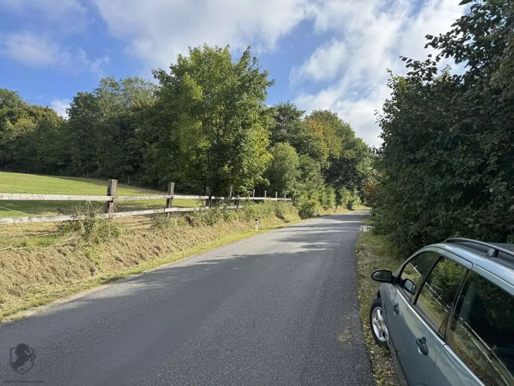 Einfamilienhaus mit großem Keller und traumhaftem Wald-Blick - Widok 3