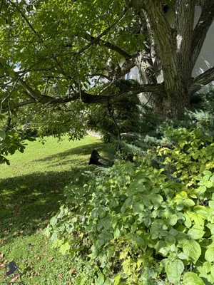 5-Zimmer-Haus kaufen in Sankt Pölten Land – 160 m², € 649.000 – Bild 14 von 66