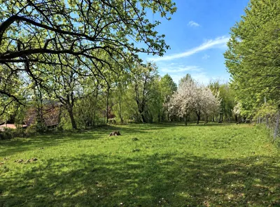 7-Zimmer-Immobilie kaufen in Wiener Neustadt Land – 238 m², € 395.000 – Bild 17 von 34
