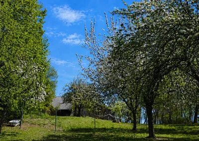 7-Zimmer-Immobilie kaufen in Wiener Neustadt Land – 238 m², € 395.000 – Bild 25 von 34