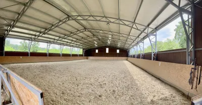 10-Zimmer-Immobilie kaufen in Neusiedl am See – 300 m², € 1.490.000 – Bild 36 von 37