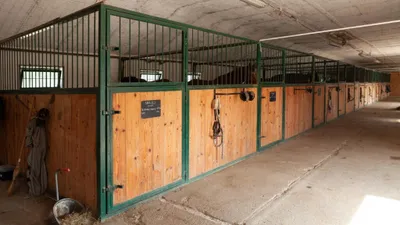 10-Zimmer-Immobilie kaufen in Neusiedl am See – 300 m², € 1.490.000 – Bild 22 von 37