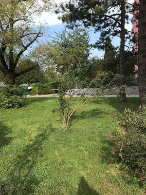 3-Zimmer-Wohnung kaufen in Wien – 85 m², € 429.000 – Bild 24 von 27
