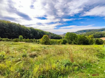 Grundstück kaufen in Südoststeiermark – 32 724 m², € 298.000 – Bild 11 von 15