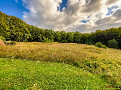 Grundstück kaufen in Südoststeiermark – 32 724 m², € 298.000 – Bild 13 von 15