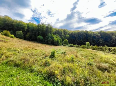 Grundstück kaufen in Südoststeiermark – 32 724 m², € 298.000 – Bild 12 von 15