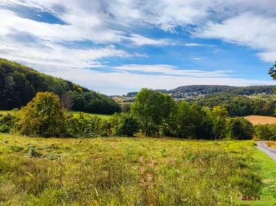 Grundstück kaufen in Südoststeiermark – 32 724 m², € 298.000 – Bild 10 von 15
